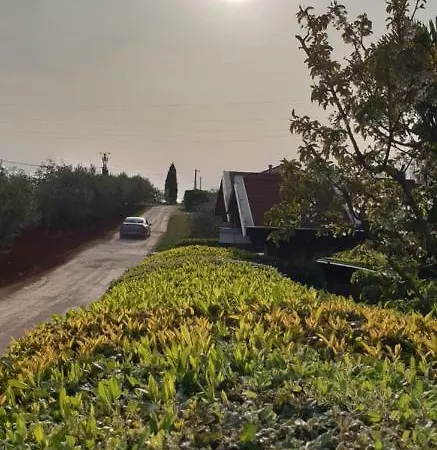 公寓 Apartma Jelka