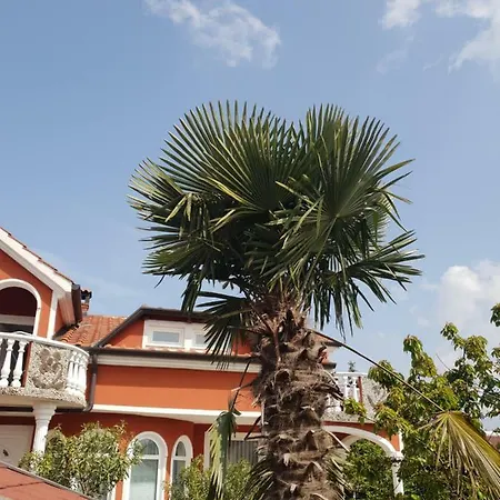 Apartma Jelka 公寓 *