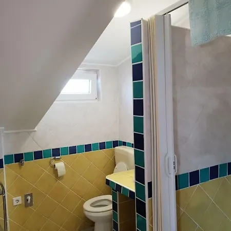 Apartma Jelka 公寓 *