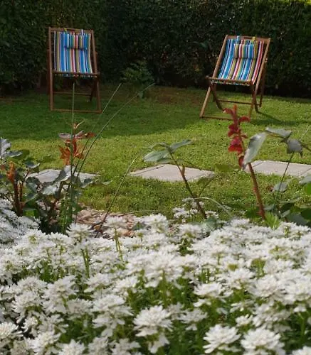 Apartma Jelka * Novigrad Istria