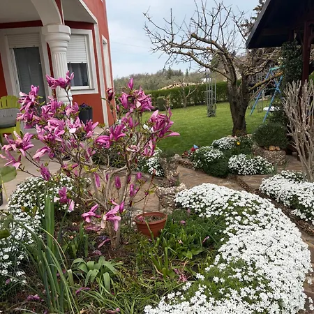 Apartma Jelka * Novigrad (Istria)