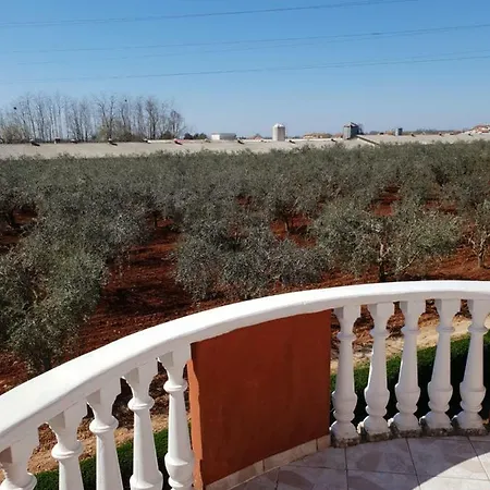 Apartment Apartma Jelka