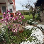 Apartma Jelka * Novigrad Istria