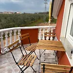 Apartma Jelka Novigrad Istria