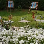 Apartma Jelka * Novigrad Istria
