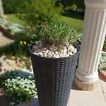 Apartma Jelka Apartamento Novigrad Istria