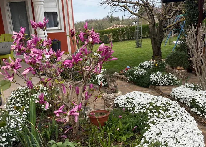 Apartma Jelka * Novigrad Istria